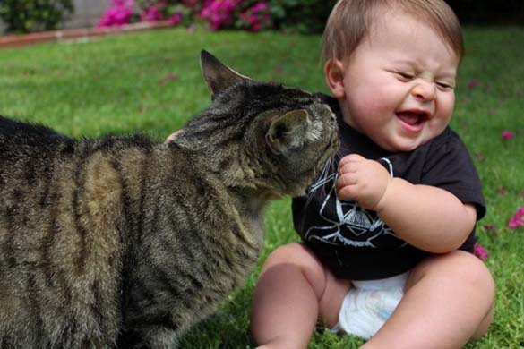 Γάτες και μωρά: 25 απίθανες φωτογραφίες! - Φωτογραφία 19