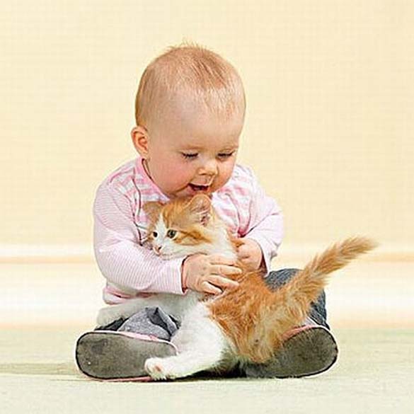 Γάτες και μωρά: 25 απίθανες φωτογραφίες! - Φωτογραφία 2