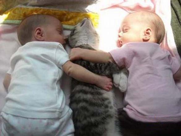 Γάτες και μωρά: 25 απίθανες φωτογραφίες! - Φωτογραφία 21
