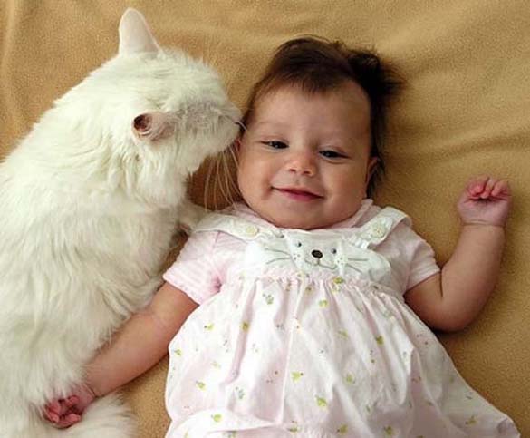 Γάτες και μωρά: 25 απίθανες φωτογραφίες! - Φωτογραφία 23
