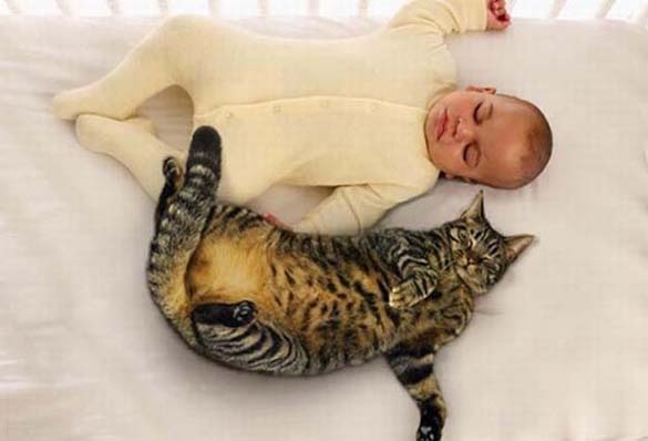 Γάτες και μωρά: 25 απίθανες φωτογραφίες! - Φωτογραφία 4