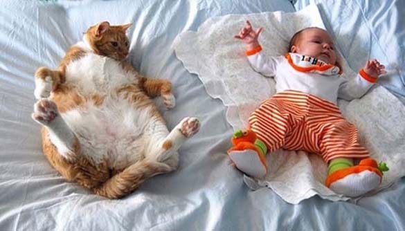 Γάτες και μωρά: 25 απίθανες φωτογραφίες! - Φωτογραφία 9