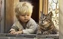 Γάτες και μωρά: 25 απίθανες φωτογραφίες! - Φωτογραφία 11