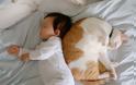 Γάτες και μωρά: 25 απίθανες φωτογραφίες! - Φωτογραφία 12