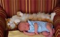 Γάτες και μωρά: 25 απίθανες φωτογραφίες! - Φωτογραφία 17