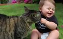 Γάτες και μωρά: 25 απίθανες φωτογραφίες! - Φωτογραφία 19