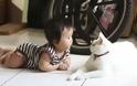 Γάτες και μωρά: 25 απίθανες φωτογραφίες! - Φωτογραφία 3