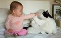 Γάτες και μωρά: 25 απίθανες φωτογραφίες! - Φωτογραφία 5