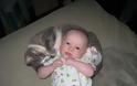 Γάτες και μωρά: 25 απίθανες φωτογραφίες! - Φωτογραφία 6