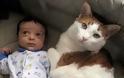Γάτες και μωρά: 25 απίθανες φωτογραφίες! - Φωτογραφία 7