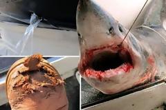 ΔΕΙΤΕ: Σκηνές τρόμου έζησε 53χρονος ψαρας