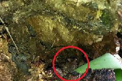 Τεστ παρατηρητικότητας (για πολύ δυνατούς λύτες!)