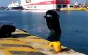 Ανασύρθηκε και το όχημα από το λιμάνι του Πειραιά - Φωτογραφία 2