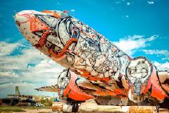 H τέχνη του Γκράφιτι διακοσμεί Πολεμικά Αεροπλάνα! (photos)