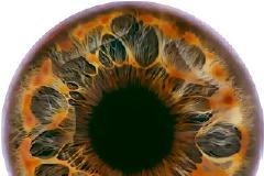 Tα χρώματα της ίριδας...