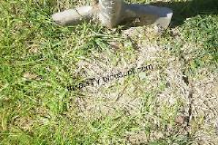 Δείτε πως φυτεύουμε ένα δέντρο!