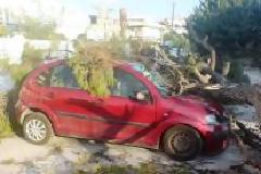 ΔΕΙΤΕ: Φωτογραφίες Σοκ στο Μαρούσι!