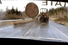 Η τελευταία φωτογραφία.. την τελευταια στιγμή!!! (pics)