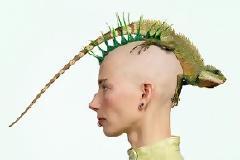 ΔΕΙΤΕ: Ζώα, άνθρωποι, δημιουργία