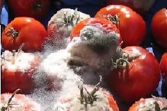 Μπορείτε να ξέρετε αν ένα προϊόν είναι χαλασμένο;