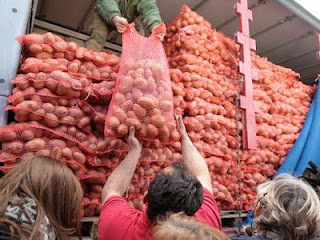 Την Παρασκευή η διάθεση 70 τόνων πατάτας στην Ηγουμενίτσα - Φωτογραφία 1
