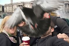 Οταν το κλικ γίνεται την κατάλληλη στιγμή, το αποτέλεσμα είναι κάπως έτσι!