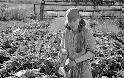 Μία όμορφη συλλογή φωτογραφιών από τον Αλέξανδρο Μπράουν  που απεικονίζεται την ορθόδοξη γυναίκα (Ρωσία) - Φωτογραφία 36