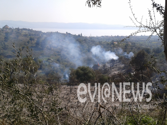 Ακόμα δεν καλοκαίριασε και καίνε την Νότια Εύβοια! - Φωτογραφία 2