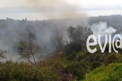 Ακόμα δεν καλοκαίριασε και καίνε την Νότια Εύβοια!