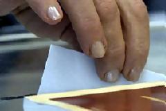 Ψήφος οργής