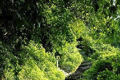 Αυτά τα σκαλοπάτια - 2 -