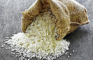 Άνοιξαν οι παραγγελίες για το κίνημα του ρυζιού - Φωτογραφία 1
