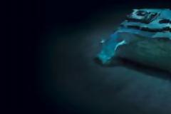 Εντυπωσιακές ψηφιακές φωτο του Τιτανικού