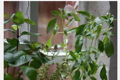 Το πριν και το μετά ... της μπουκάλας