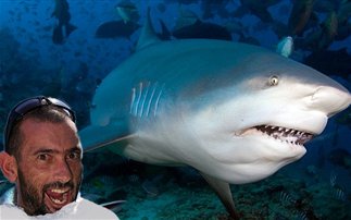 Ο απόλυτος τρόμος στα σαγόνια του καρχαρία! - Φωτογραφία 1