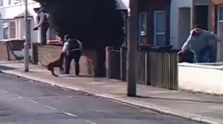 Βίντεο σοκ : Σκύλος επιτίθεται σε 5 αστυνομικούς - Φωτογραφία 1