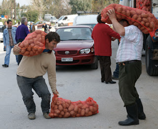 Και από την Αλβανία πήγαν στην Ηγουμενίτσα να πάρουν πατάτες από το Νευροκόπι! - Φωτογραφία 1