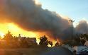 Τρίπολη: Σύσκεψη για την πρόληψη των πυρκαγιών…