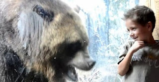 Γιγάντια αρκούδα προσπαθεί να φάει παιδάκι! [video] - Φωτογραφία 1