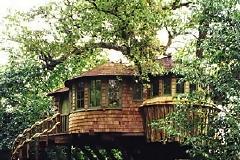 Αν δεν έχετε οικόπεδο... χτίστε στο δέντρο ...