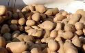 Το κίνημα της πατάτας στη Λιβαδειά