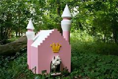 Εντυπωσιακά και περίεργα σκυλόσπιτα!