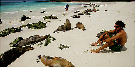Νησιά Γκαλαπάγκος: Ακόμη ψάχνονται οι επιστήμονες για την πανίδα τους... (photos) - Φωτογραφία 7