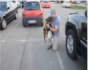 ΣΥΓΚΙΝΗΤΙΚΟ VIDEO: Σκύλος υποδέχεται το αφεντικό του, που είναι στρατιώτης! - Φωτογραφία 1
