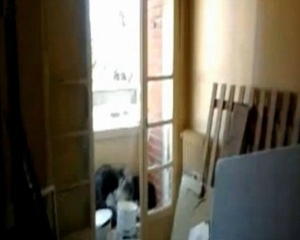 VIDEO: Δείτε το διαμέρισμα του μακελάρη της Τουλούζ μετά την έφοδο! - Φωτογραφία 1