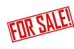 Στο σφυρί η πολυτελής έπαυλη «Σκαθαριού»