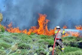 Πυρκαγιά στον Κότρωνα Λακωνίας - Φωτογραφία 1