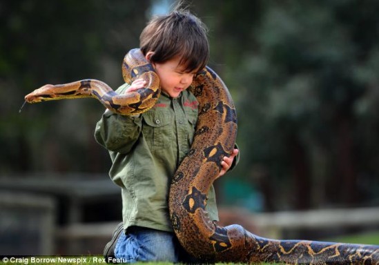 ΑΠΙΣΤΕΥΤΕΣ ΕΙΚΟΝΕΣ: Ο ατρόμητος μπόμπιρας που κάνει παρέα με φίδια και κροκόδειλους - Φωτογραφία 4
