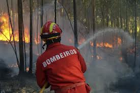 Ένας νεκρός στις πυρκαγιές της Πορτογαλίας - Φωτογραφία 1