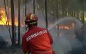 Ένας νεκρός στις πυρκαγιές της Πορτογαλίας